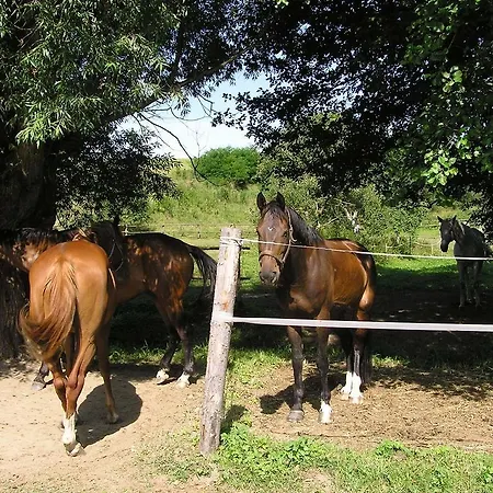 Padrtuv Mlyn Casa de hóspedes Třebíč