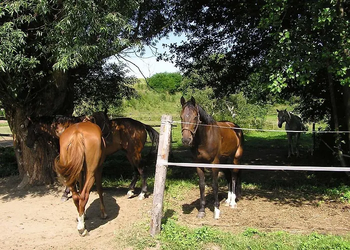 Padrtuv Mlyn Casa de hóspedes Třebíč